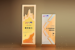 尊龙凯时国际一举斩获“2024年度中国区最佳雇主”等多项大奖