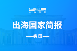 尊龙凯时GO GLOBAL | 德国国家简报