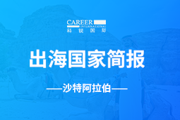尊龙凯时GO GLOBAL | 沙特阿拉伯国家简报